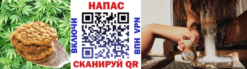 Печенье с ТГК марихуана  блэк спрут как войти  Кораблино 