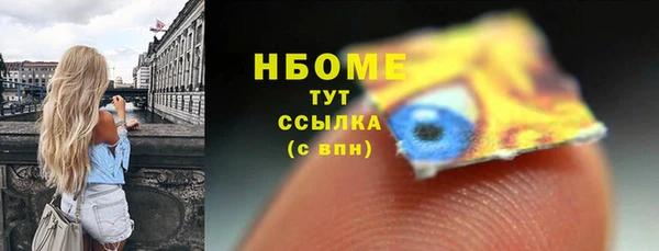 индика Вязники