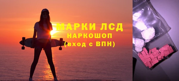 прущие грибы Рославль