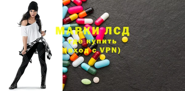 прущие грибы Рославль