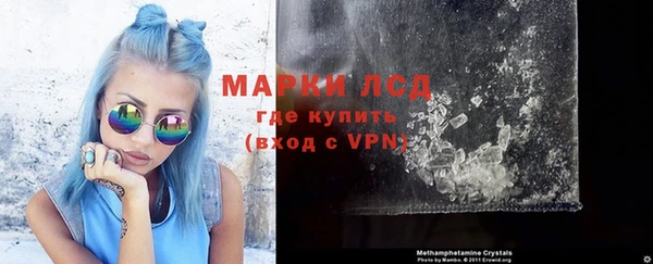 прущие грибы Рославль