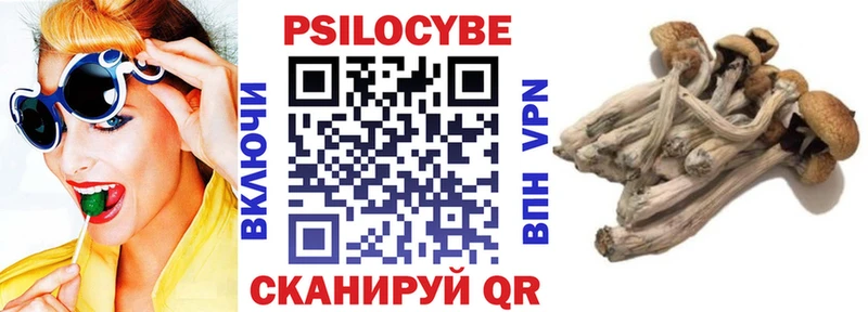 hydra ссылка  Кораблино  Галлюциногенные грибы Psilocybe 